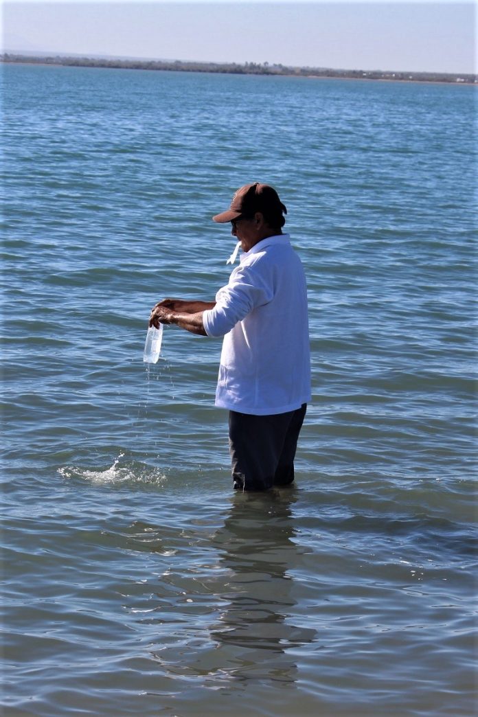 ssa_ muestreo playas coepris